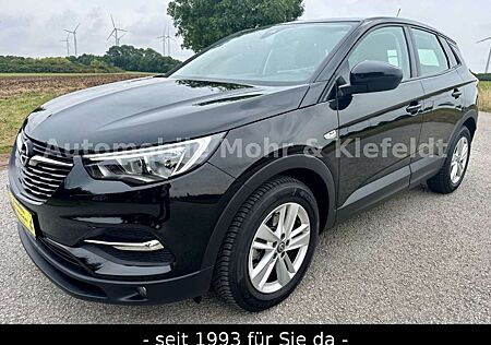 Opel Grandland X 1.5 D Business Edition*4XSHZ*LHZ*