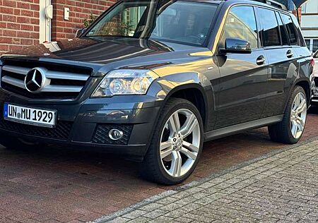 Mercedes-Benz GLK 220 CDI BlueEfficiency (204.902)