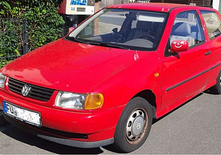 VW Polo Volkswagen 50