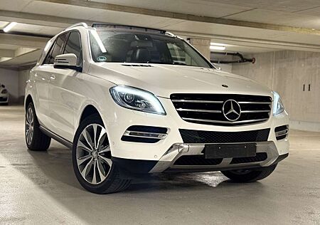 Mercedes-Benz ML 250 4-Matic*Panorama*AHK*Standheizung