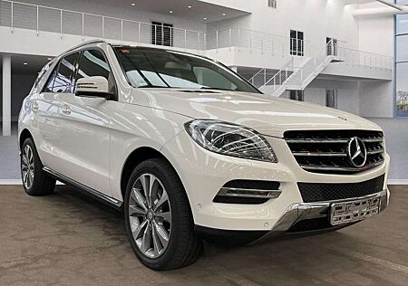 Mercedes-Benz ML 250 4-Matic*Panorama*AHK*Standheizung