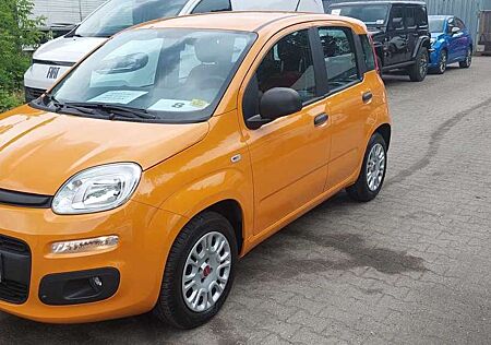 Fiat Panda Easy 1.2 69PS Radio SHZ Klima Scheckheft