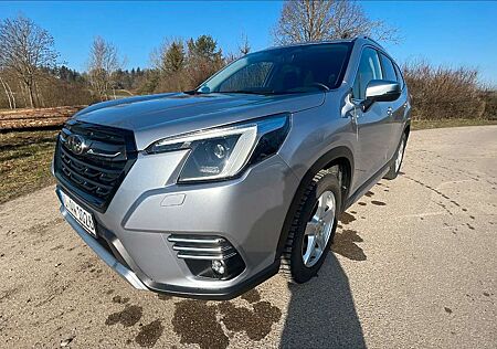 Subaru Forester Active e-Boxer, RFK, 8-fach bereift,Top