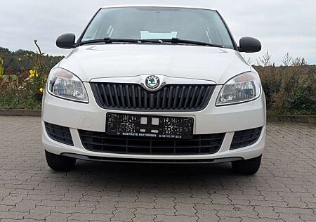 Skoda Fabia Special*Tüv neu*Klima