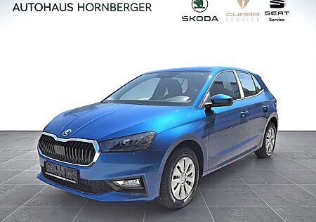 Skoda Fabia AmbitionView 1.0TSI 110PS Tempomat LED PDC Kamera