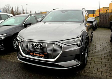 Audi e-tron 55 quattro Area View Luftfederung ACC Top