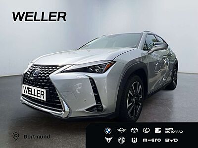 Lexus UX 250h E-FOUR Luxury Line *Matrix*HUD*Leder*CAM*