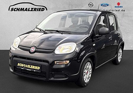 Fiat Panda gebraucht kaufen Fiat Panda Base 1.0 Mild Hybrid DAB Klima teilb.Rücksb eFH RD