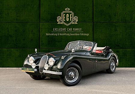 Jaguar XK 120 Drophead Coupé - Sammlerfahrzeug - Note 2