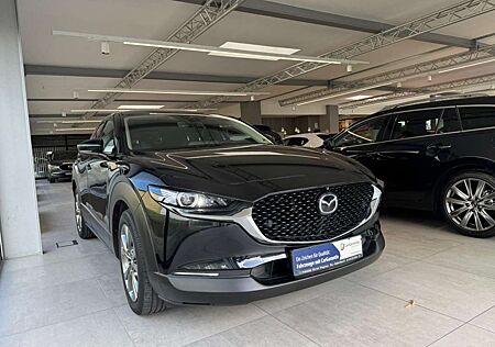 Mazda CX-30 Selection 186 PS *Design*Premium-Paket*
