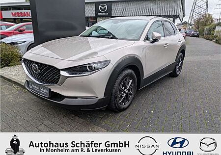 Mazda CX-30 gebraucht kaufen Mazda CX-30 Selection HUD Navi SHZ Bose ACC 360 Kamera LED Ble