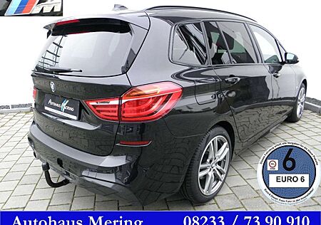 BMW 218iA 218 MAero + Sportp AHK 18"Zoll Reling Kamera