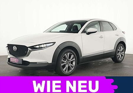 Mazda CX-30 Selection BOSE|Navi|CarPlay|HeadUp|SHZ|LED