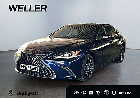 Lexus GS 300 ES 300 h Eco *Bi-LED*ACC*SmartKey*CarPlay*PDC*TWA*