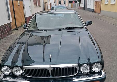 Jaguar XJ8