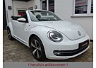 VW Beetle Volkswagen 1.2TSI Allstar Plus Leder Kamera Xenon