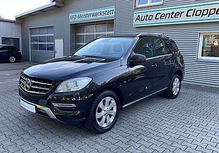Mercedes-Benz ML 250 CDI 4Matic Automatik