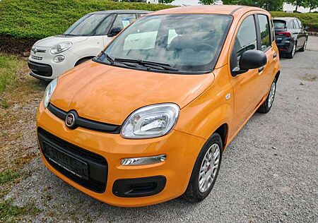 Fiat Panda 1.2 Easy Klima-Radio-ESP-M+S Räder