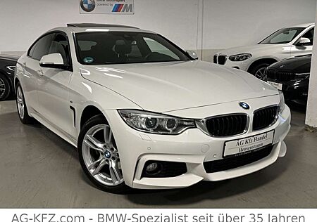 BMW 420d 420 Gran Coupé xDrive M SPORT PAKET/Glasdach/