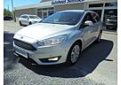 Ford Focus Business, Navi, PPS, beheizbare Frontscheibe, SHZ