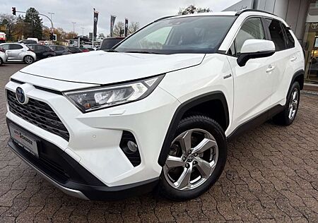 Toyota RAV 4 RAV4 Hybrid 4x4 Team Deutschland