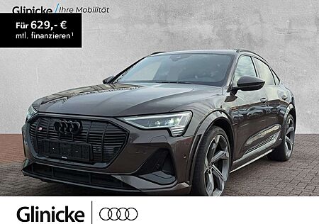 Audi e-tron Bang & Olufsen Pano Matrix