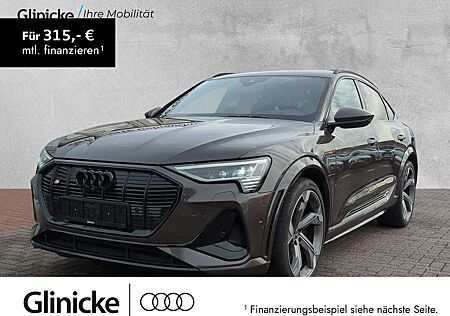 Audi e-tron Bang & Olufsen Pano Matrix