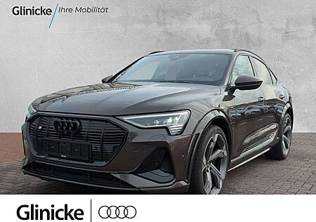 Audi e-tron Bang & Olufsen Pano Matrix