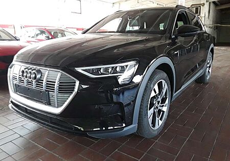 Audi e-tron 50 Q 20Z./LED/ACC/AIR-SUS/NAV+/VC/KAMERA