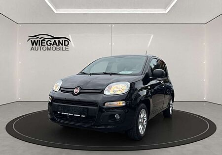 Fiat Panda gebraucht kaufen Fiat Panda 1.2 Easy+PDC+RADIO+KLIMA+