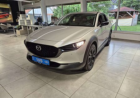 Mazda CX-30 Skyactiv X 2.0 l 186 PS AT FWD Nagisa