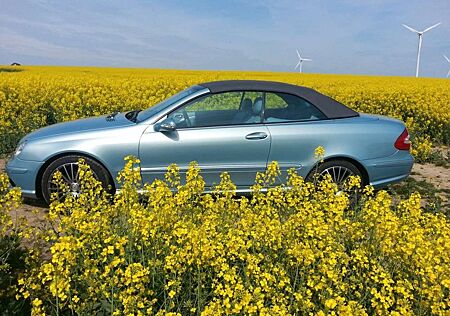 Mercedes-Benz CLK 320 CLK Cabrio 320 Avantgarde