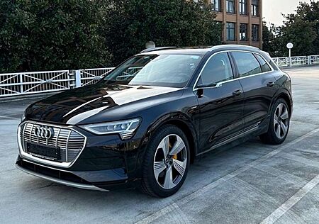Audi e-tron 55 quattro advanced NP: 114T¤