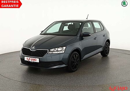 Skoda Fabia 1.0 TSI Klima DAB USB Bluetooth