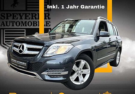 Mercedes-Benz GLK 220 CDI BlueEfficiencyIVOLLLEDER|SHZ|NAVI|SH