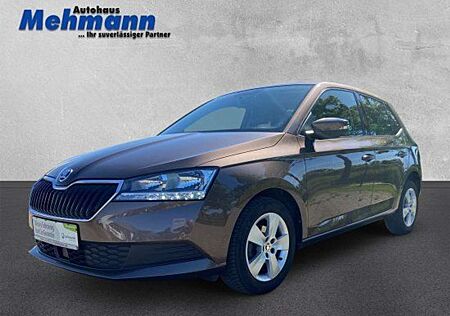 Skoda Fabia 1,0 Ambition *SmartLink*Kamera*Klima*