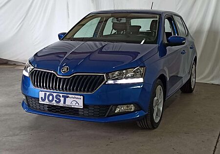 Skoda Fabia Cool Plus 1.0 Klima PDC Bluetooth LM16