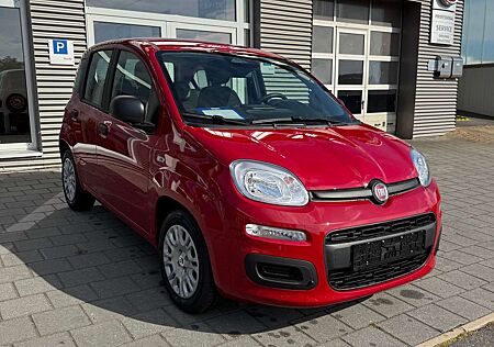 Fiat Panda Pandina
