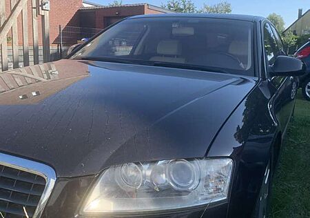 Audi A8 4.2 TDI DPF quattro