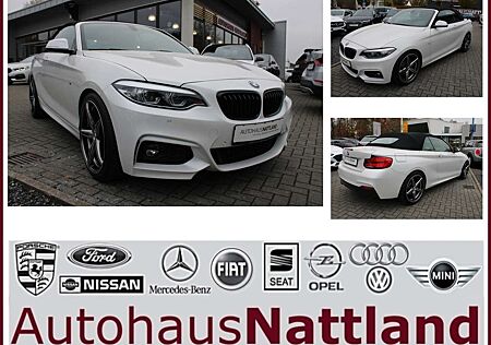 BMW 220i 220 Cabrio M Sport Navi Autom. PDC Temp. H&K