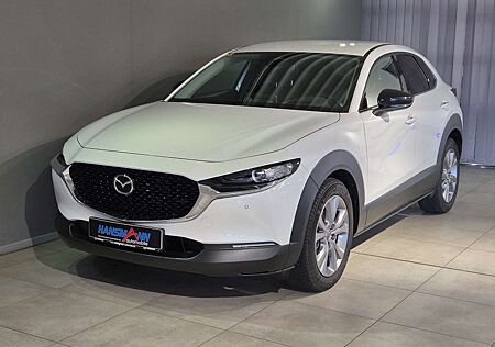 Mazda CX-30 5WGN 2.5L e-SKYACTIV G 140ps 6AT FWD Homura