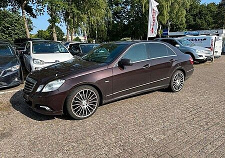 Mercedes-Benz E 220 E220 CDI Lim. Avantgarde BlueEfficiency Xenon