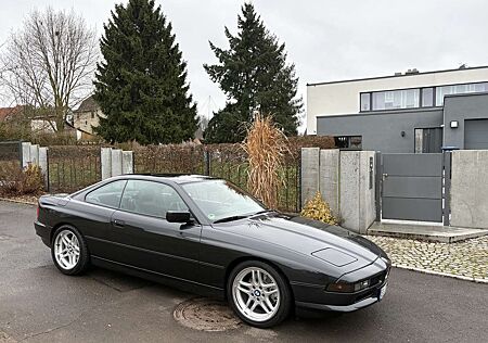 BMW 850 6-Gang Sportsitze Büffelleder EDC 18" St.37