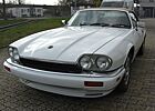 Jaguar XJS 4.0 Celebration Edition Unfallfrei guter Zustand