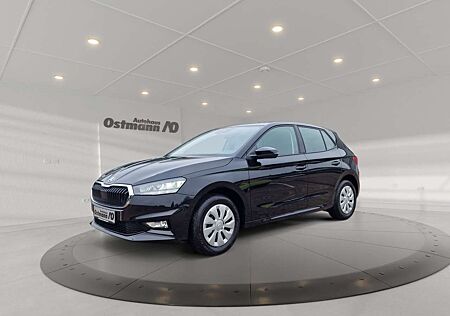 Skoda Fabia 1.0 TSI Selection LED PDC GRA SpurH