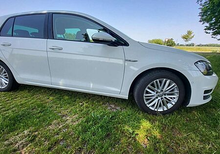 VW Golf Volkswagen 2.0 BlueTDI Cup