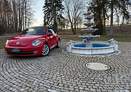 VW Beetle Volkswagen Cabriolet Design Klima Navi Tempomat PDC
