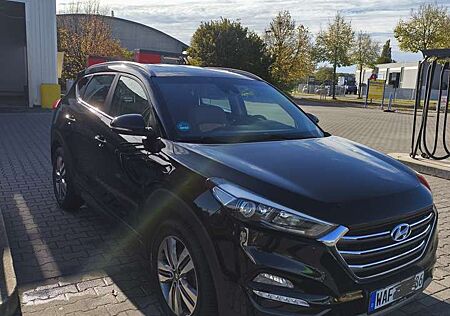 Hyundai Tucson blue 1.7 CRDi 2WD DCT Classic