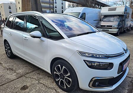 Citroën C4 Spacetourer Citroen Grand Shine Plus, 7-Sitzer,Automatik,Leder