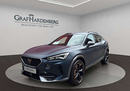 Cupra Formentor 4x4 2.0 TSI DSG Umgebungskamera